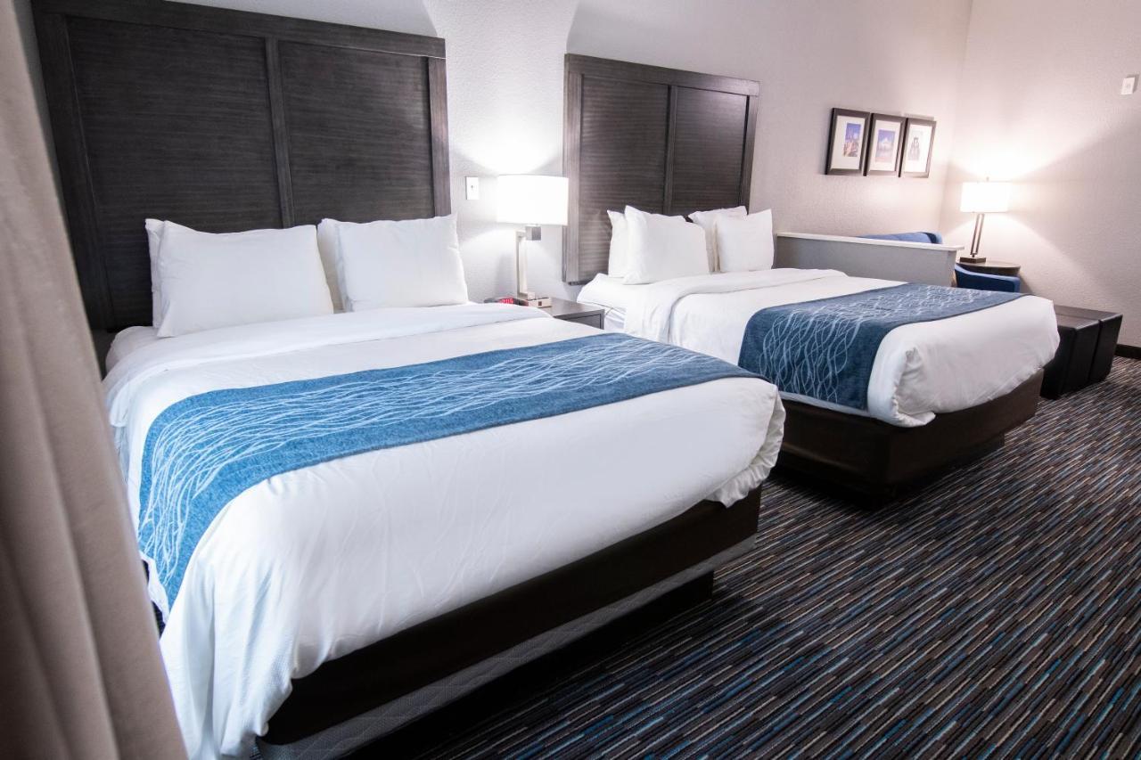 Comfort Inn & Suites Near Medical Center San Antonio Eksteriør bilde