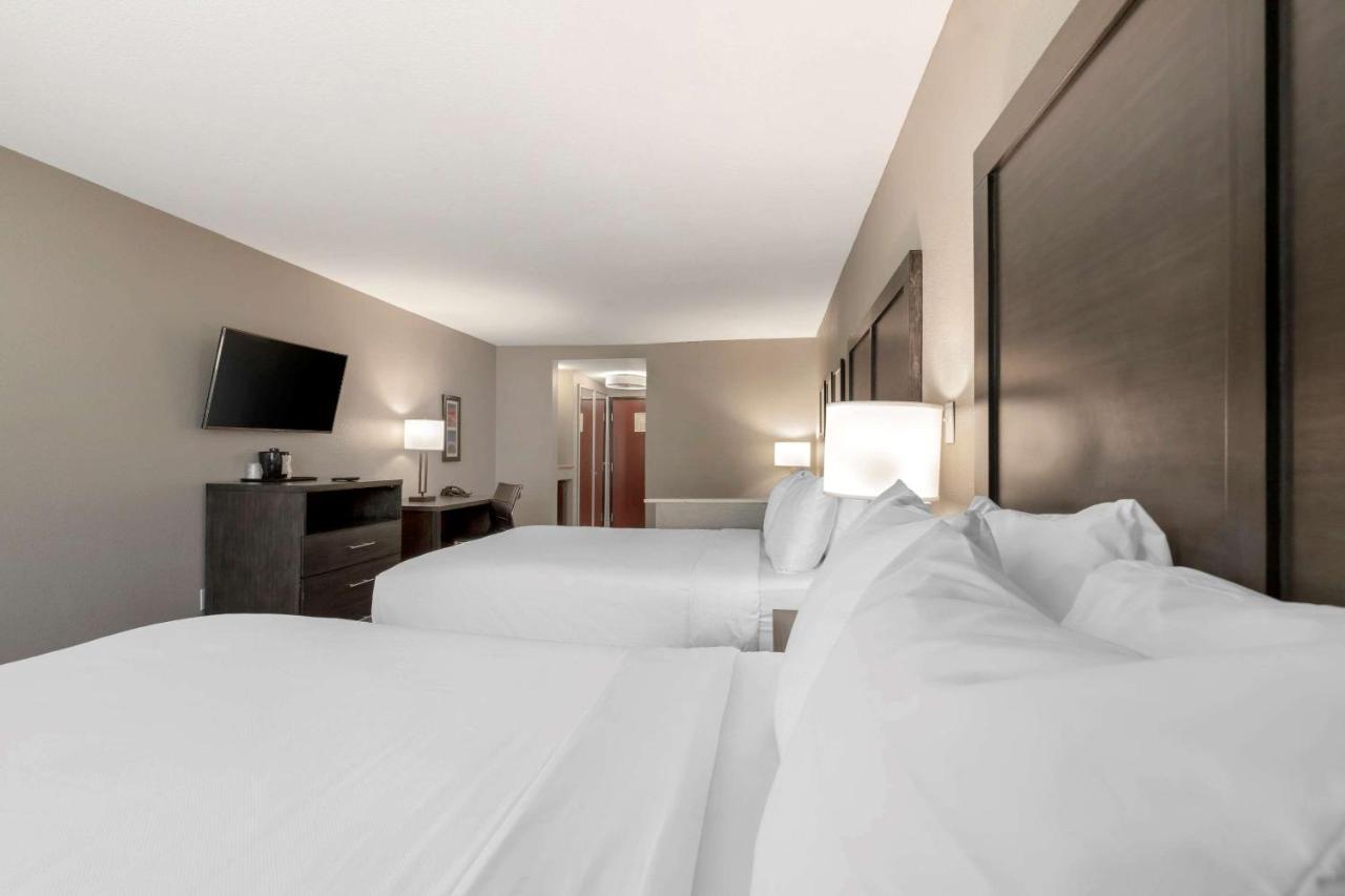 Comfort Inn & Suites Near Medical Center San Antonio Eksteriør bilde